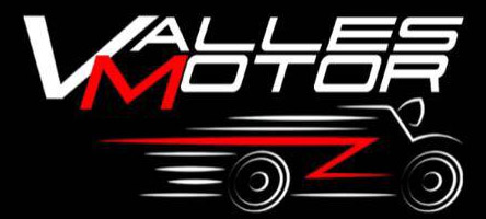 Vallesmotor logo