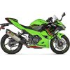 Protector térmico de carbono Akrapovic - Kawasaki Z 400 - 2019 a 2022 - Imagen 2