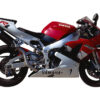 Mivv Slip-On Oval carbono Yamaha YZF 1000 R1 1998-01