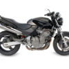 Mivv Slip-On X-Cone St. Steel Honda Hornet 600 1998-02