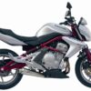 Mivv Slip-On X-Cone St. Steel Kawasaki ER-6n / f 2005-11 / Versys 650 2006-14