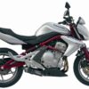 Mivv Slip-On Oval carbono Kawasaki ER-6n / f 2005-11 / Versys 650 2006-14