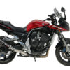Mivv Slip-On GP carbon Yamaha FZS 1000 Fazer 2001-05