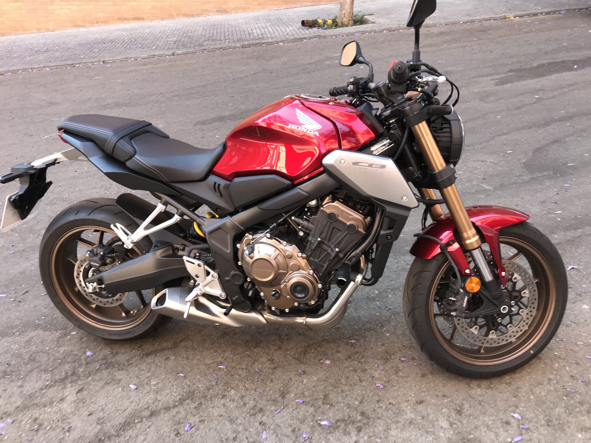 CBR 650 F/R 2017-25 (NO E CLUTCH ) HONDA Pelacrash® Extreme - Imagen 8