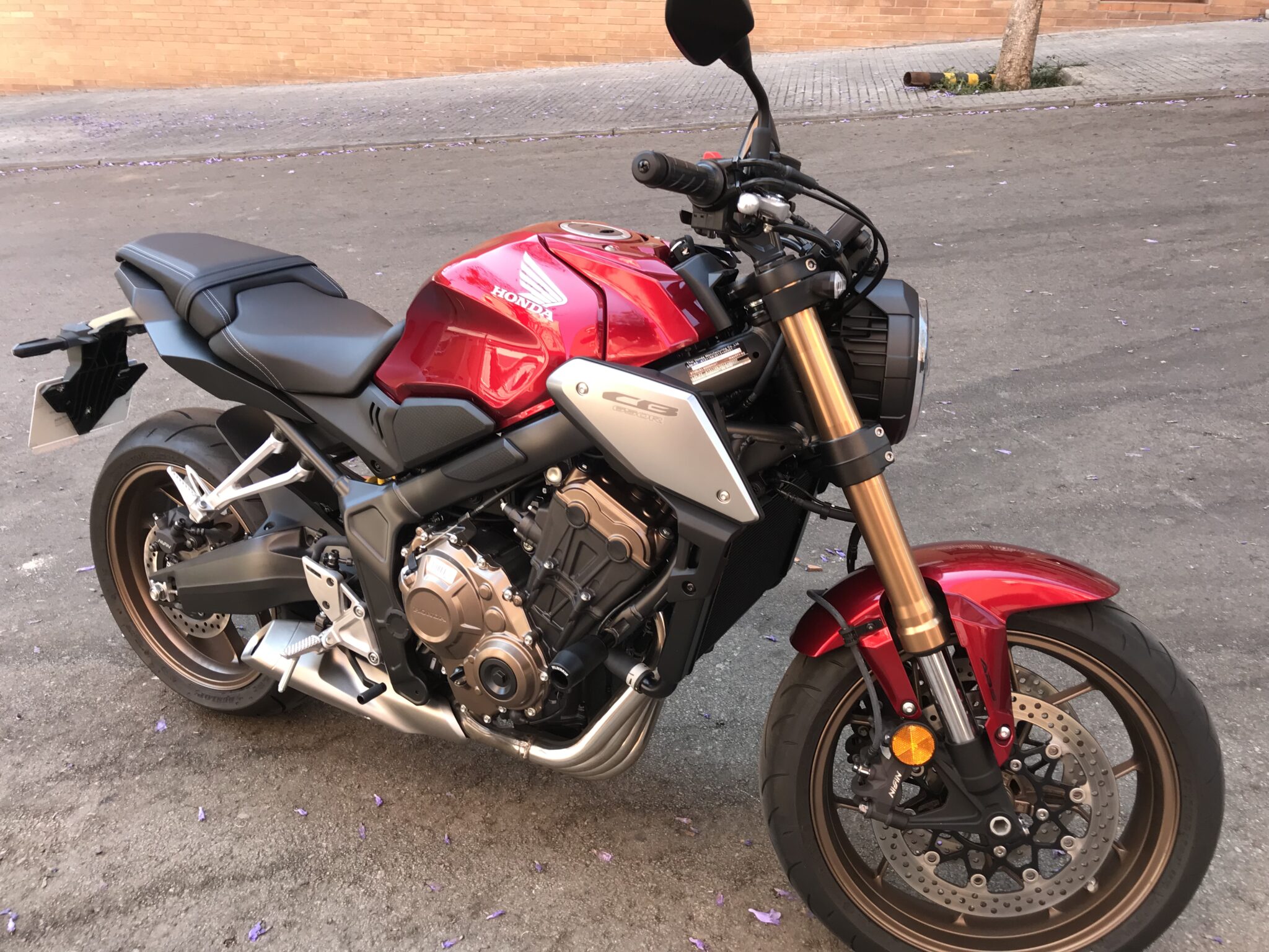 CBR 650 F/R 2017-25 (NO E CLUTCH ) HONDA Pelacrash® Extreme - Imagen 9