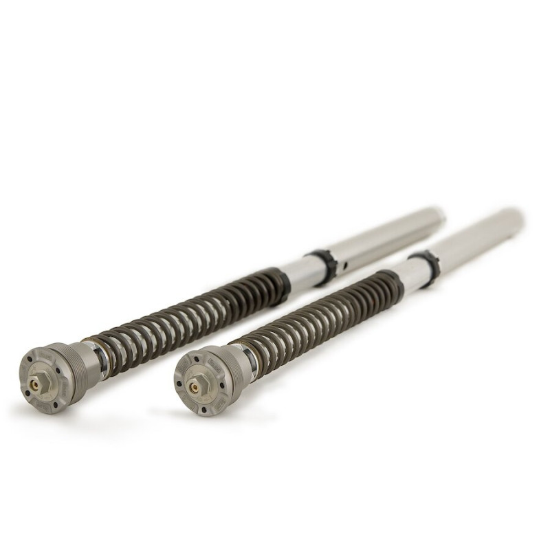 Öhlins Cartucho de horquilla NIX30A Honda XL Transalp 750 2023-25