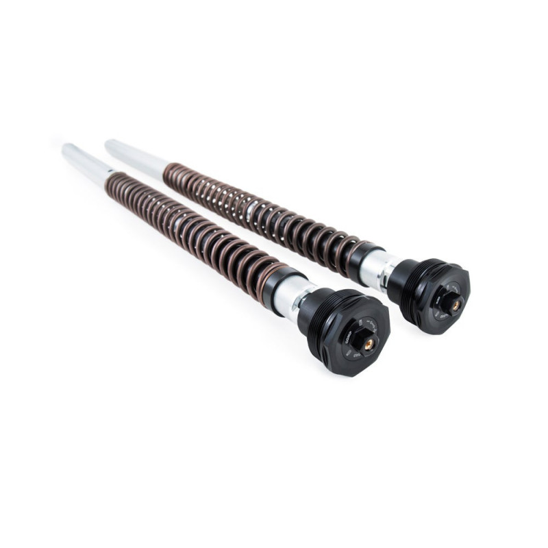 Öhlins Cartucho de horquilla NIX30 Husqvarna Norden 901 2022-25