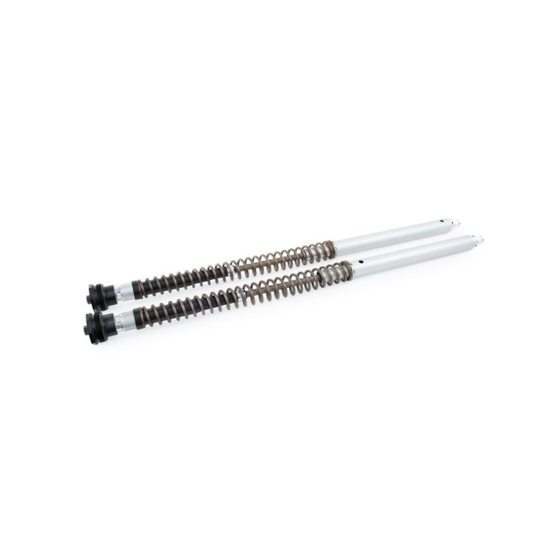 Öhlins Cartucho de horquilla NIX30 KTM 690 SMCR / Husqvarna 701 Supermoto 20-25 (muelles incluidos)
