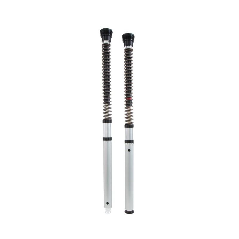 Öhlins Cartucho de horquilla NIX30 BMW R 12 NineT 2024-