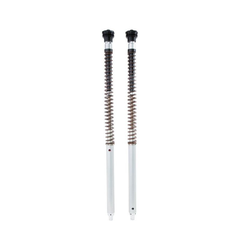 Öhlins Cartucho de horquilla NIX30 CF Moto 800MT-X 2025- (muelles incluidos)